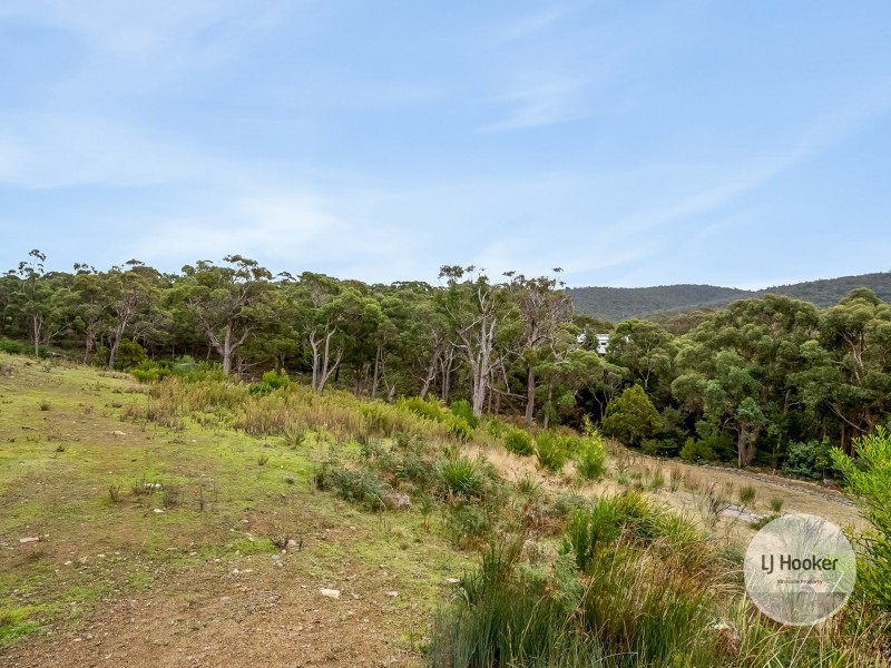 16 Albert Street, Eaglehawk Neck TAS 7179