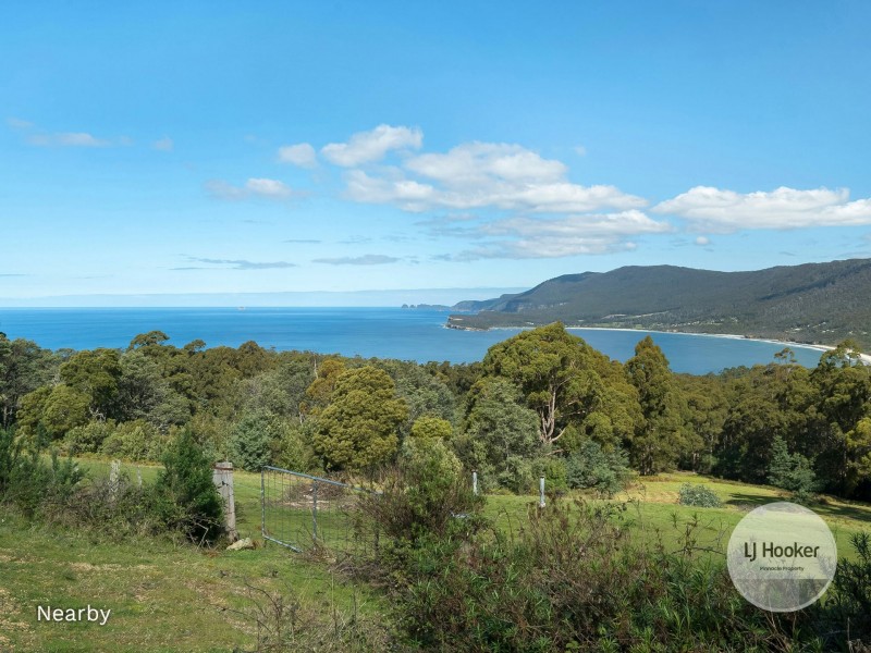 16 Albert Street, Eaglehawk Neck TAS 7179