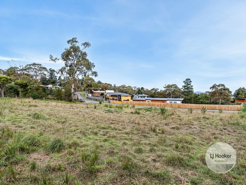 63 Ridge Road, Dodges Ferry TAS 7173