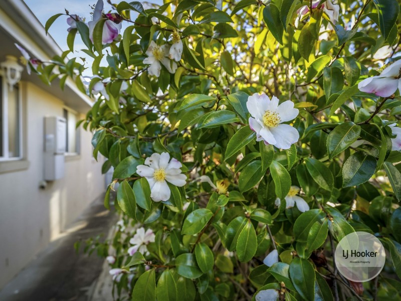 7 Beach Road, Margate TAS 7054