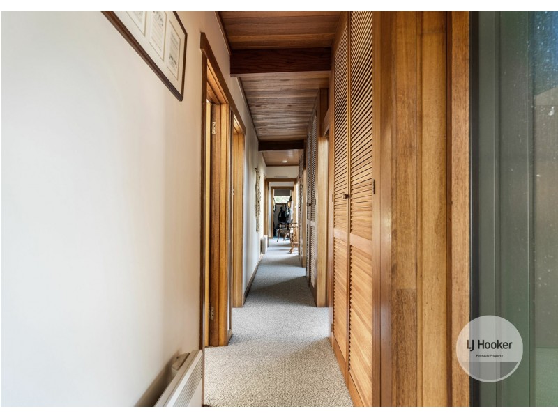 33 Begonia Street, Lindisfarne TAS 7015