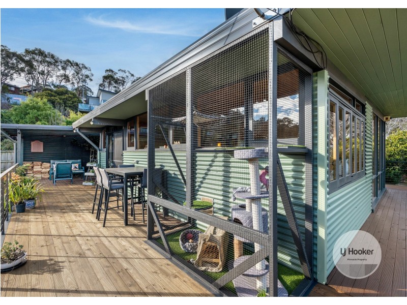 33 Begonia Street, Lindisfarne TAS 7015