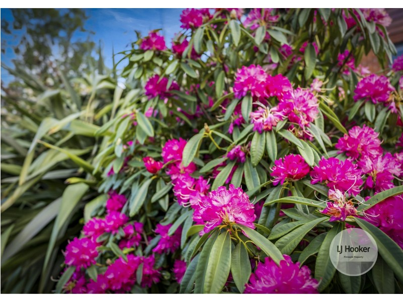 29 Nolan Crescent, Kingston TAS 7050