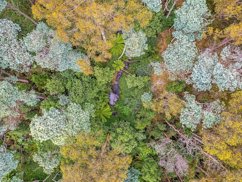 500 Nicholls Rivulet Road, Oyster Cove TAS 7150