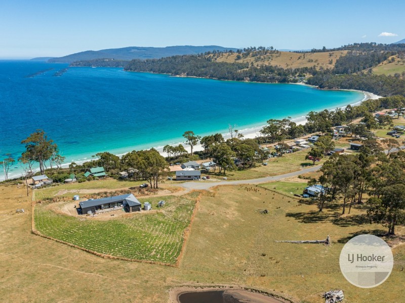 67 Dunn Drive, Surveyors Bay TAS 7116