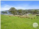 67 Dunn Drive, Surveyors Bay TAS 7116