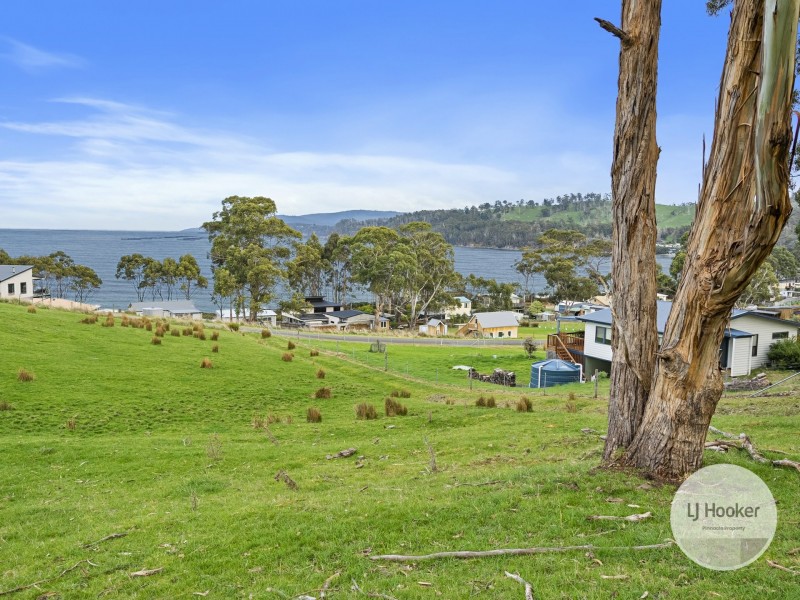 67 Dunn Drive, Surveyors Bay TAS 7116