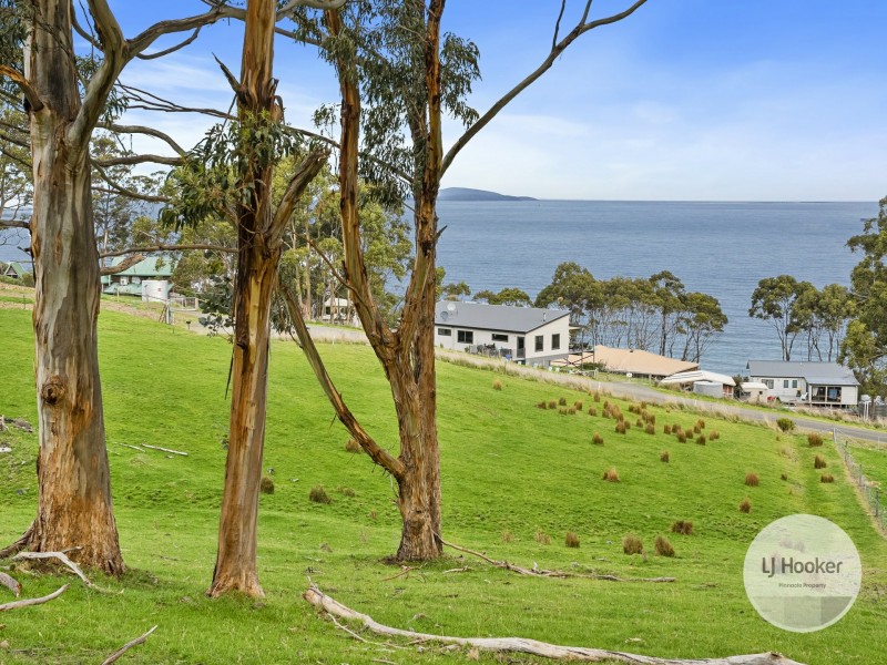 67 Dunn Drive, Surveyors Bay TAS 7116