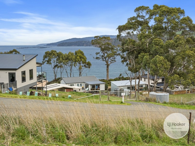 67 Dunn Drive, Surveyors Bay TAS 7116