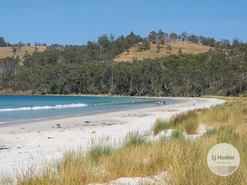 67 Dunn Drive, Surveyors Bay TAS 7116