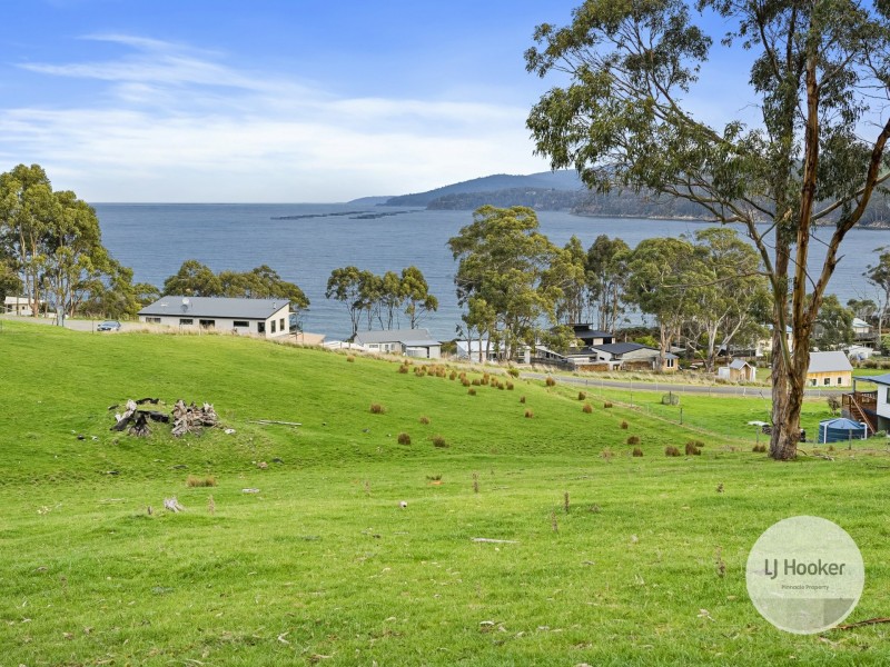 67 Dunn Drive, Surveyors Bay TAS 7116