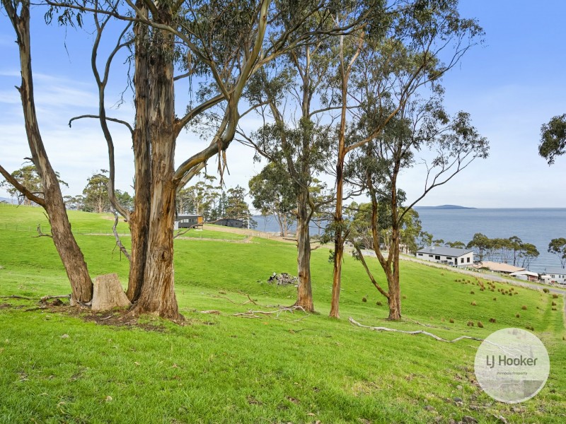 67 Dunn Drive, Surveyors Bay TAS 7116