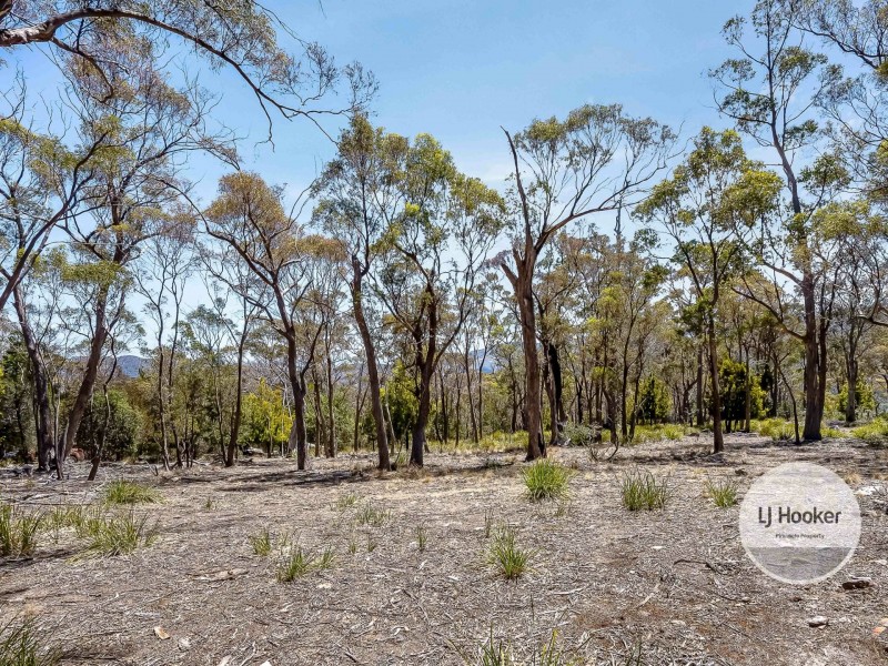 484 Molesworth Road, Molesworth TAS 7140