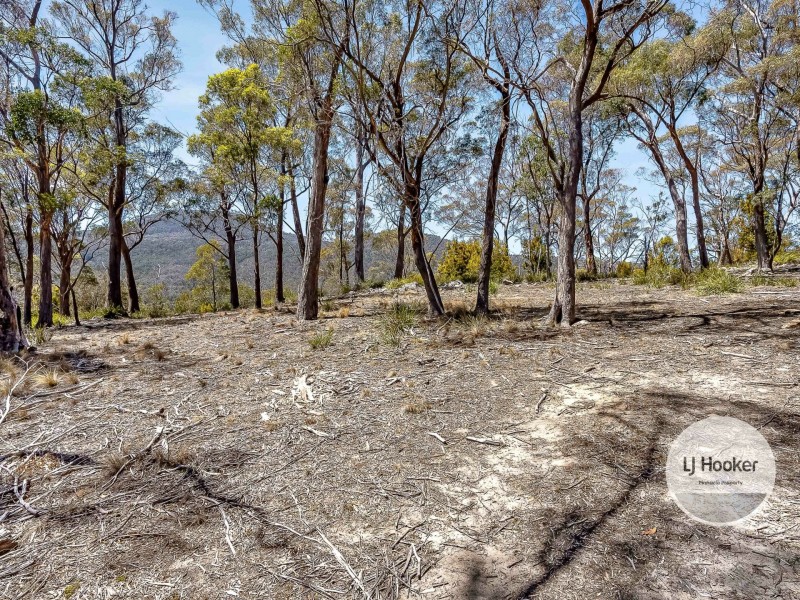 484 Molesworth Road, Molesworth TAS 7140