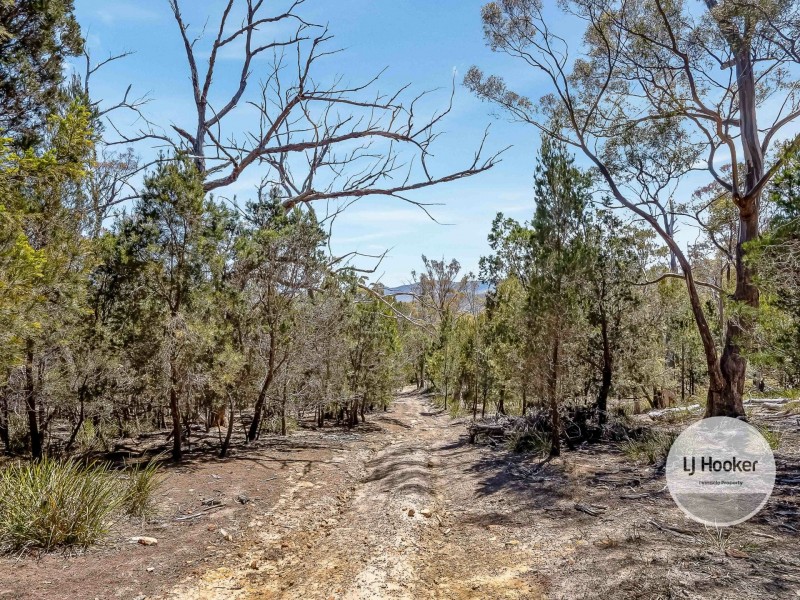 484 Molesworth Road, Molesworth TAS 7140