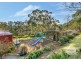 31 Proctors Road, Kingston TAS 7050