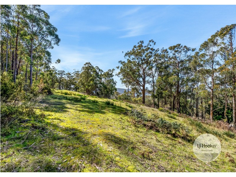 117 Cathedral Road, Margate TAS 7054