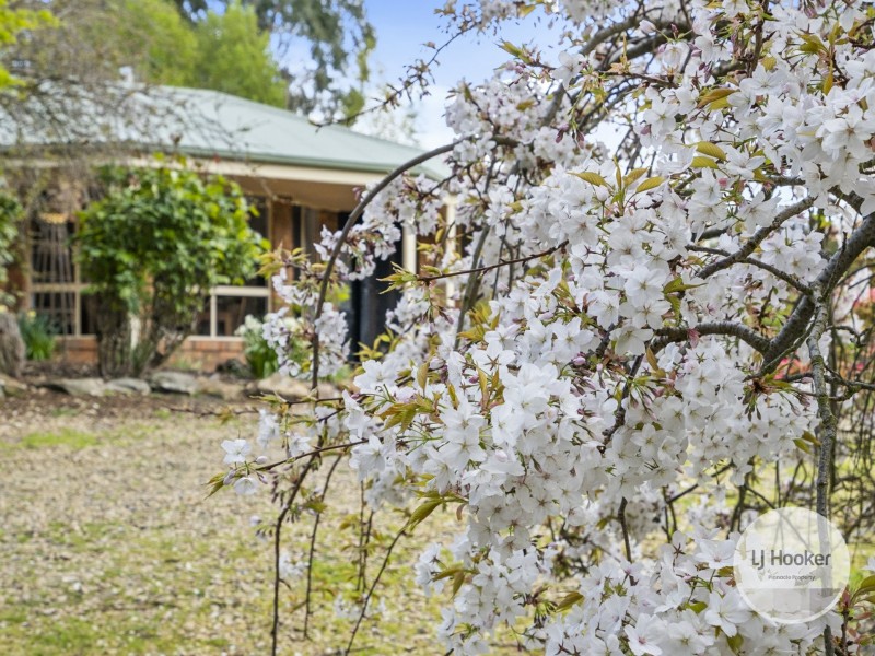 680 Lachlan Road, Lachlan TAS 7140