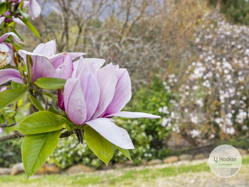 680 Lachlan Road, Lachlan TAS 7140