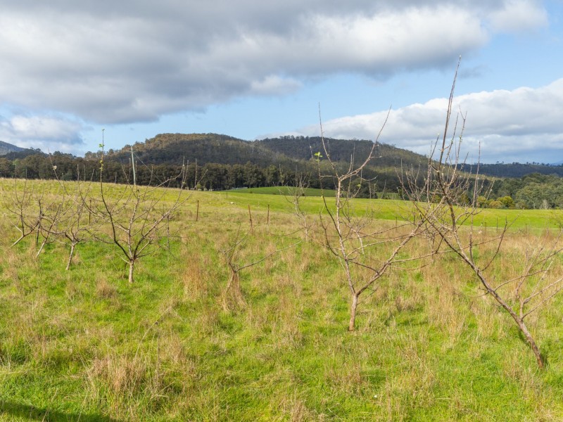 Lot 2 Sculthorpes, Nicholls Rivulet TAS 7112