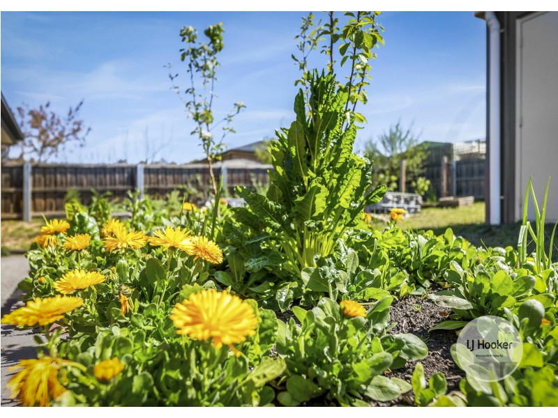 67 Kensington Street, New Norfolk TAS 7140