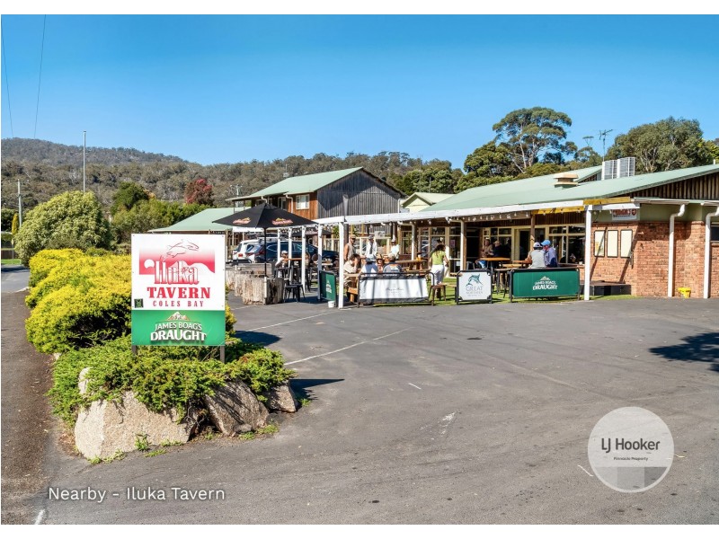 1456 Dolphin Sands Road, Dolphin Sands TAS 7190