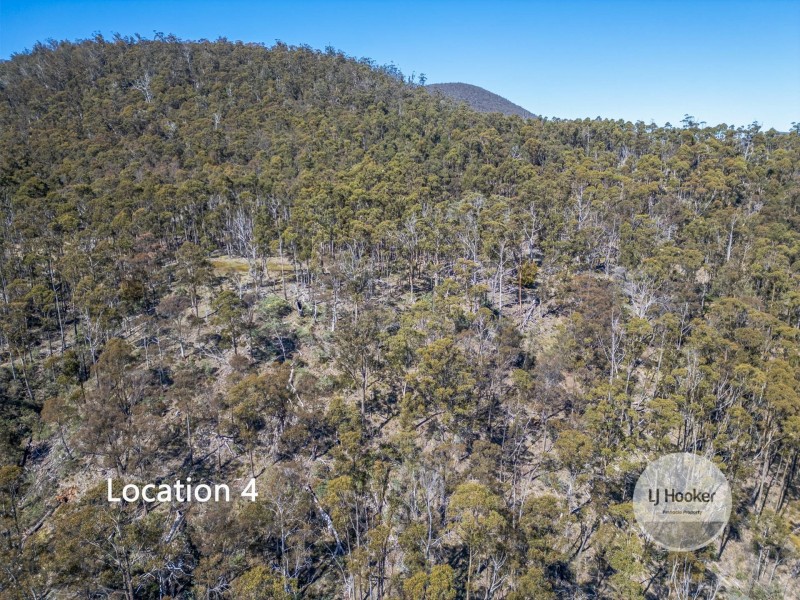 362A Ringwood Road, Lachlan TAS 7140