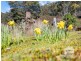 362A Ringwood Road, Lachlan TAS 7140