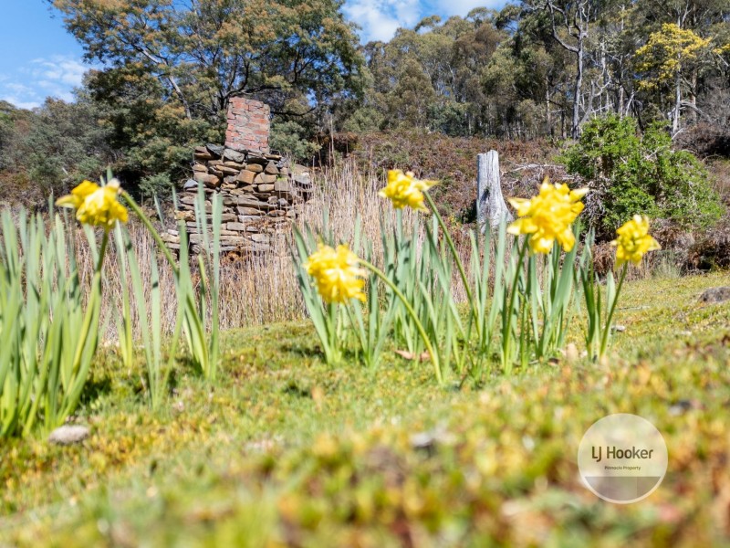 362A Ringwood Road, Lachlan TAS 7140
