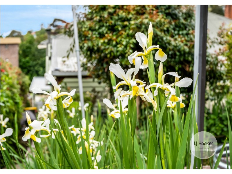 9 Romilly Street, South Hobart TAS 7004