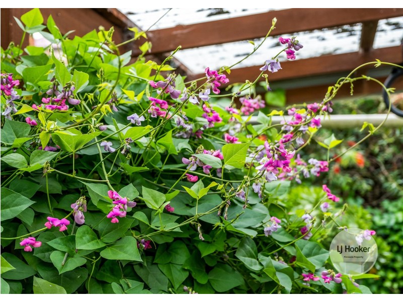 9 Romilly Street, South Hobart TAS 7004