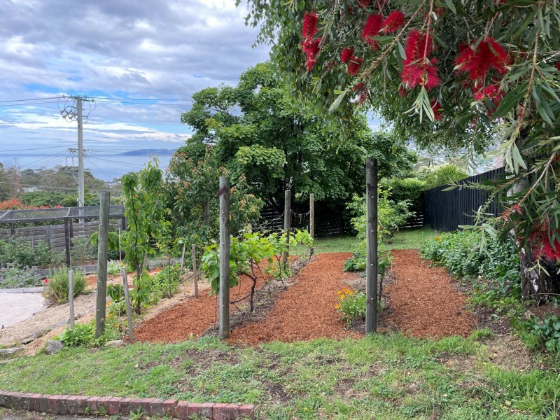 155a Roslyn Avenue, Blackmans Bay TAS 7052