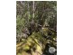 448A Woodbridge Hill Road, Woodbridge TAS 7162