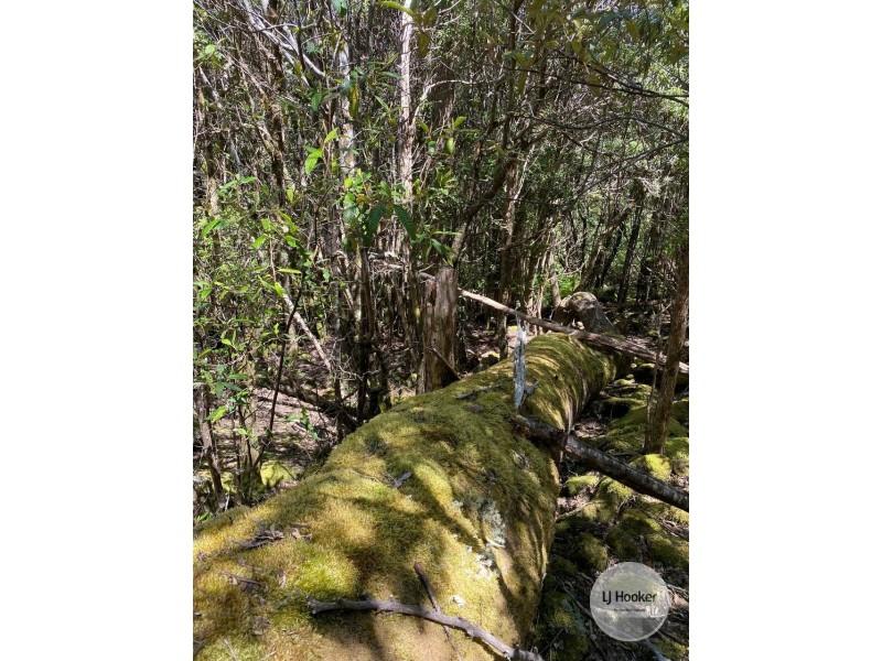 448A Woodbridge Hill Road, Woodbridge TAS 7162