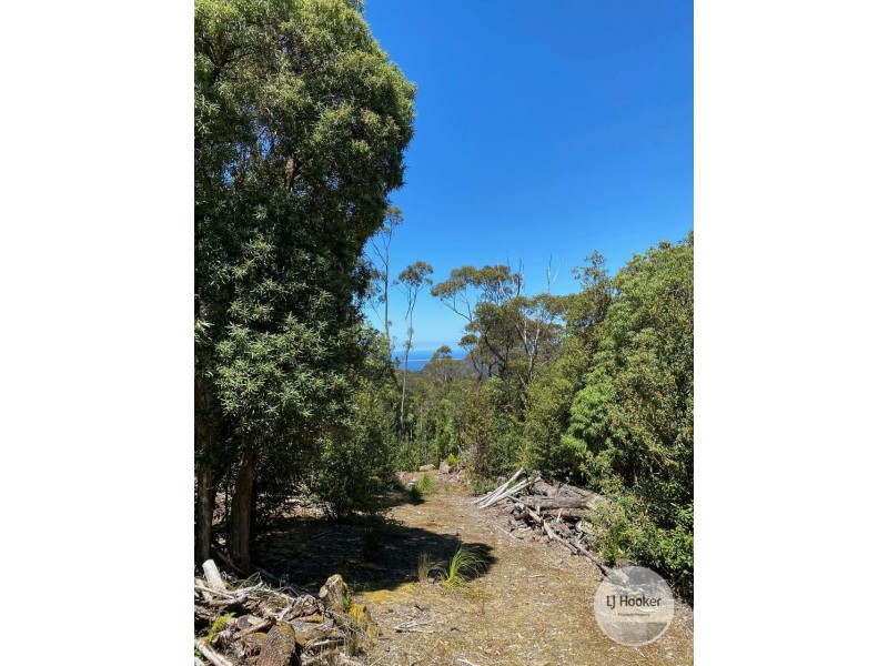 448A Woodbridge Hill Road, Woodbridge TAS 7162