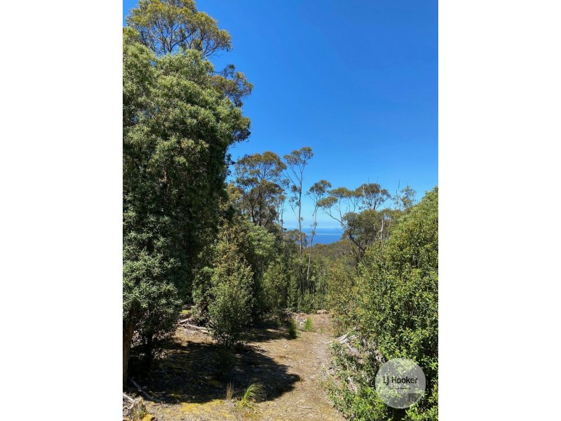 448A Woodbridge Hill Road, Woodbridge TAS 7162