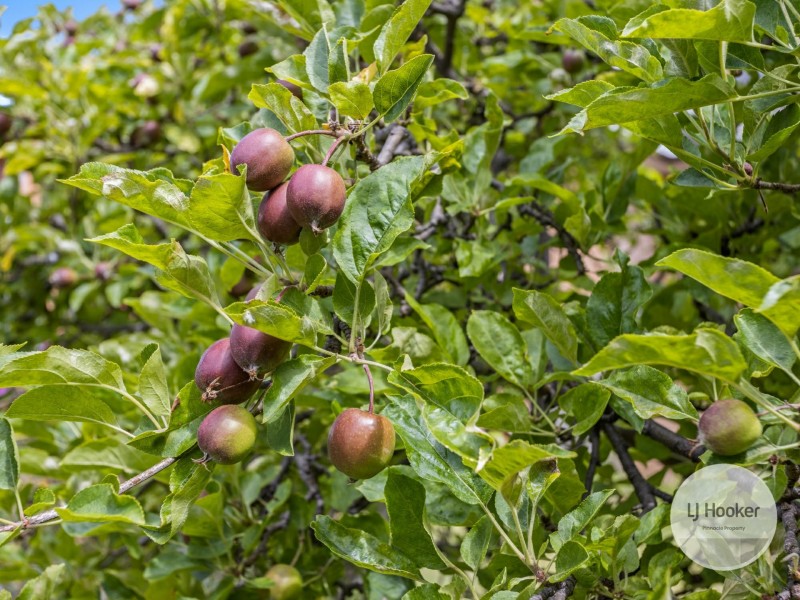 36 Baynton Street, Kingston TAS 7050