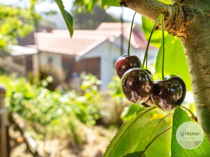 20 Mudges Road, Allens Rivulet TAS 7150