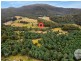 718 Woodbridge Hill Road, Gardners Bay TAS 7112