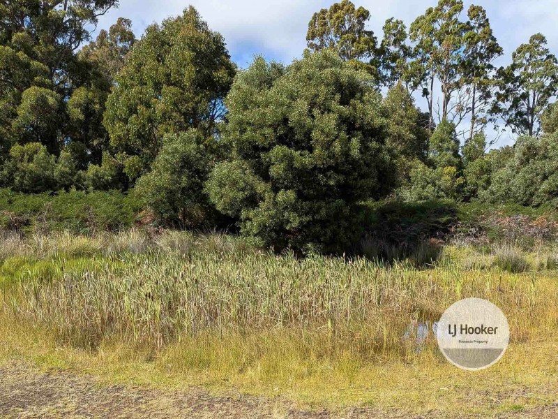 8735 Lyell Highway, Ouse TAS 7140