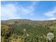 (PID: 2971 Gordon River Road, Maydena TAS 7140