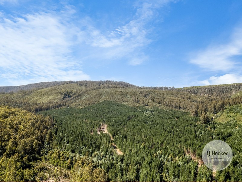 (PID: 2971 Gordon River Road, Maydena TAS 7140