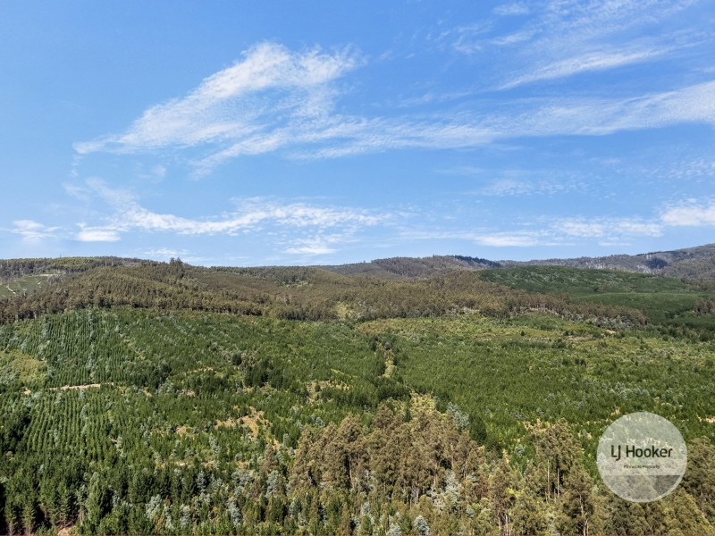 (PID: 2971 Gordon River Road, Maydena TAS 7140