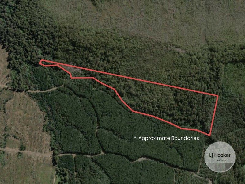 (PID: 2971 Gordon River Road, Maydena TAS 7140