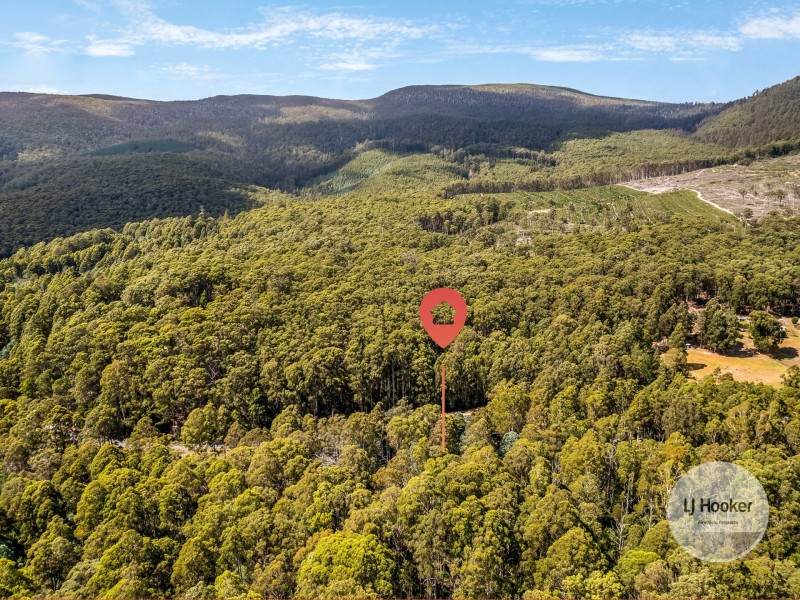 (PID: 5832 Gordon River Road, Tyenna TAS 7140