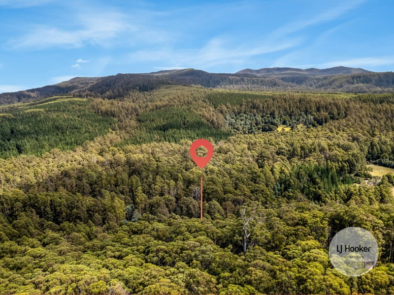 (PID: 5832 Gordon River Road, Tyenna TAS 7140