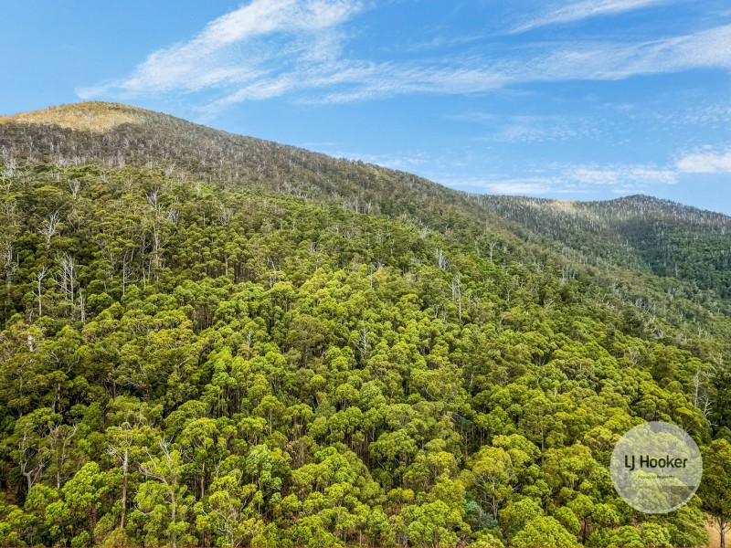 (PID: 5803 Mount Charles Road, Lachlan TAS 7140