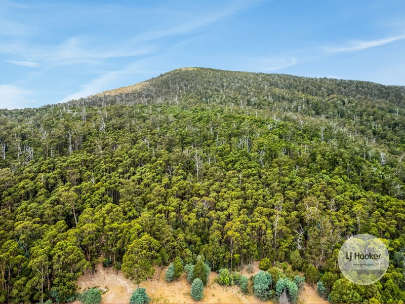 (PID: 5803 Mount Charles Road, Lachlan TAS 7140