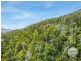 (PID: 5803 Mount Charles Road, Lachlan TAS 7140