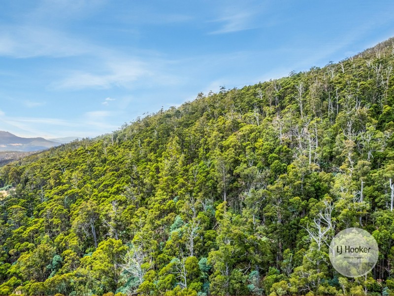 (PID: 5803 Mount Charles Road, Lachlan TAS 7140